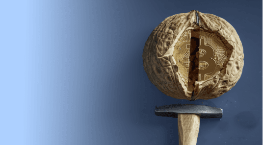 Hero's Image Hero's Image